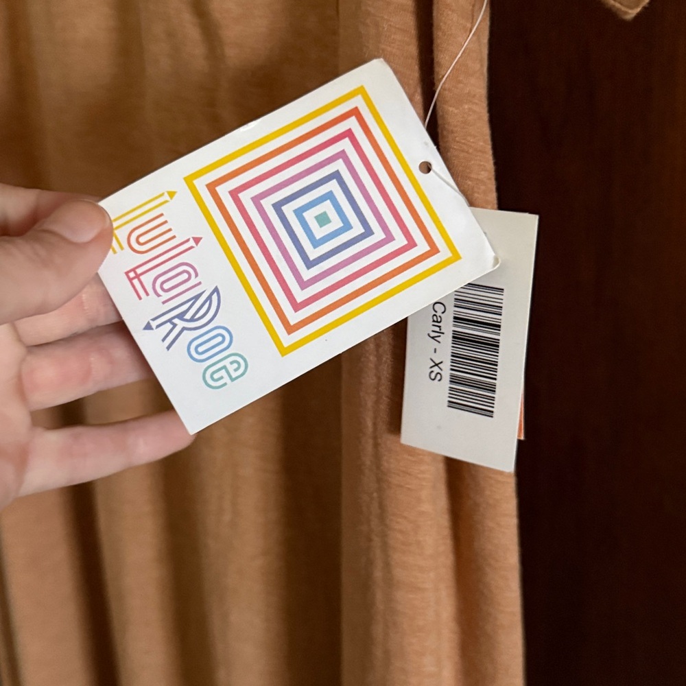LuLaRoe Carly Dress | XS | NWT | Beige/Amber - Picture 3 of 4